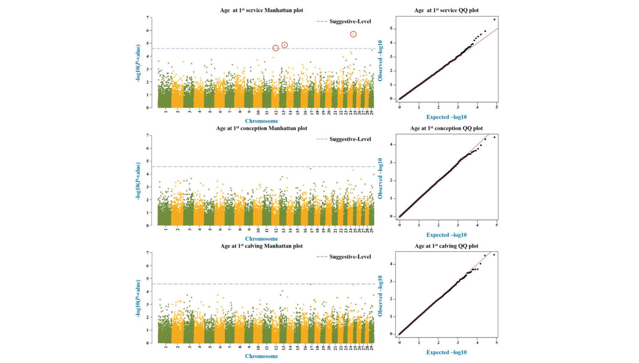 Journal of Animal Breeding and Genomics – JABG Journal of Animal Breeding and Genomics – JABG