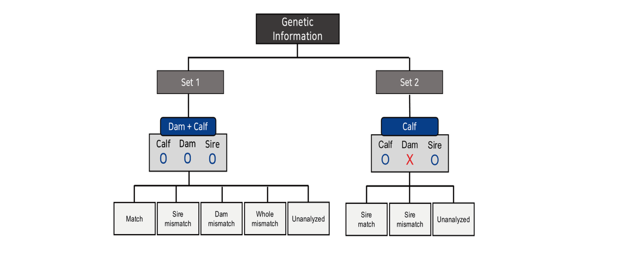 Journal of Animal Breeding and Genomics – JABG Journal of Animal Breeding and Genomics – JABG